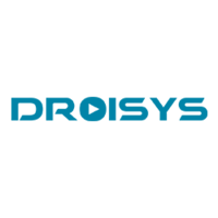 Droisys Logo